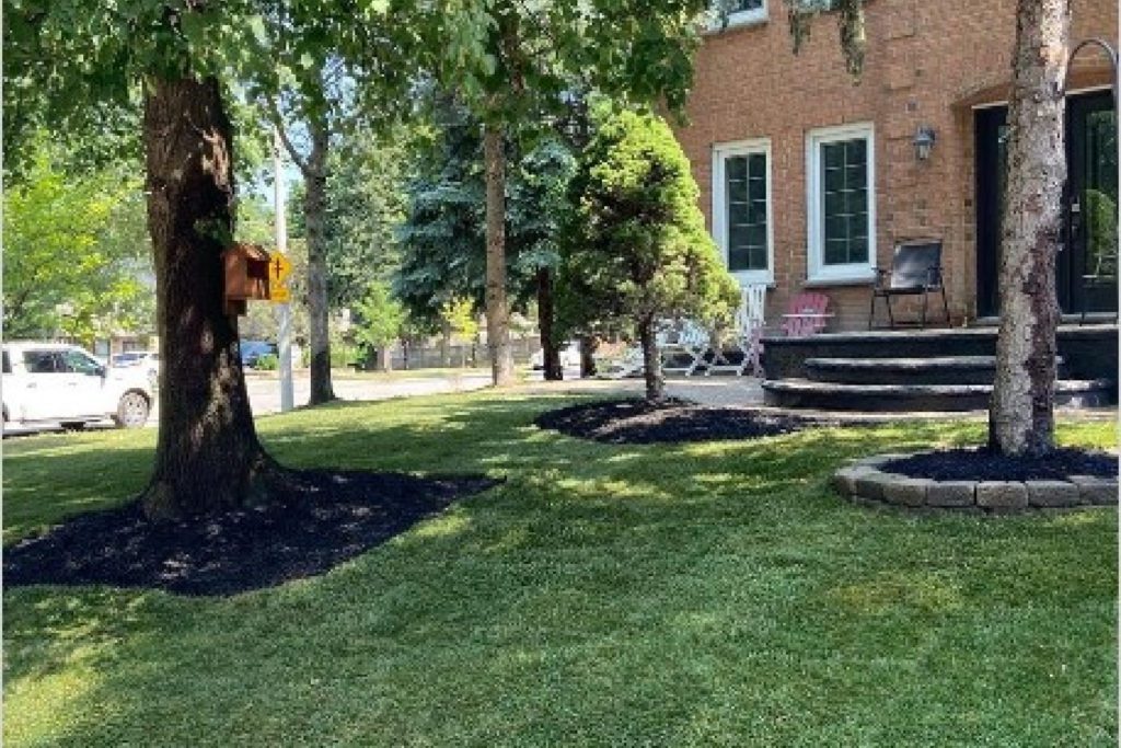 Landscaping and yard cleanup done by Cory at Corringtons Cutting